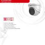 Hikvision Done Audio Camera With 2 Megapixels
